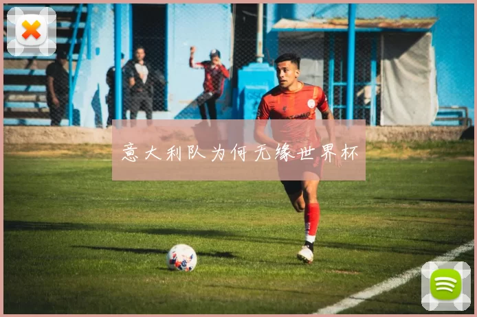 意大利队为何无缘世界杯