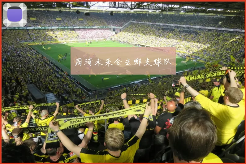 周琦未来会去哪支球队